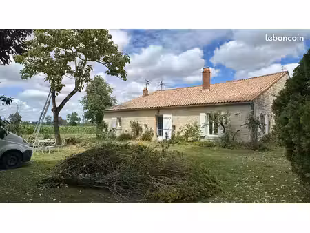 logement t3 à louer