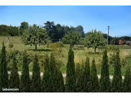 terrain
