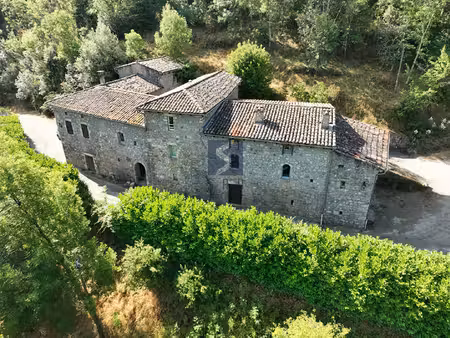 ardèche : vallée de l'eyrieux ensemble immobilier de 6 gîtes en pierre sur un terrain de 7