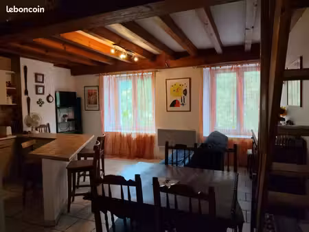 joli appartement duplex 42 m2  salon  cuisine americaine  chambre en mezzanine  deux grand