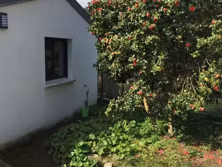 appartement 35 m2 quartier petit port facultes avec terrasse et jardin privatif