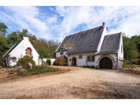 propriete a renover de 370m2 sur plus de 4.5 hectares