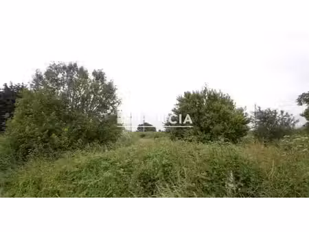 terrain
