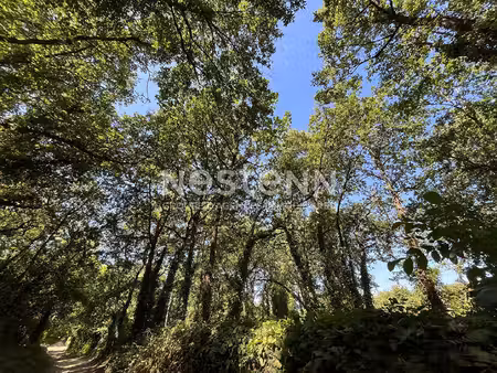 terrain boisée - vaudelnay - d6113