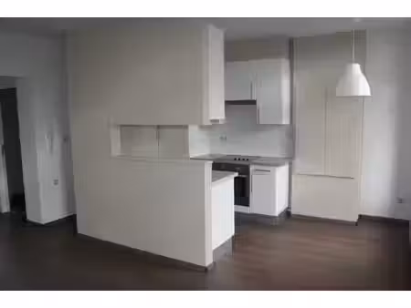 appartement 1 chambre châtelet  cuisine moderne.