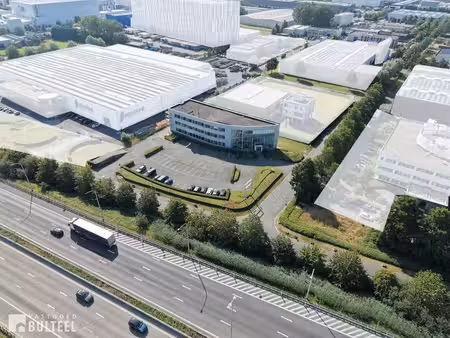 bien professionnel à vendre à temse € 2.750.000 (lrfrf) - vastgoed bulteel | zimmo