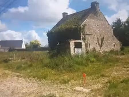 vente maison à drefféac (44530) : à vendre / 58m² drefféac
