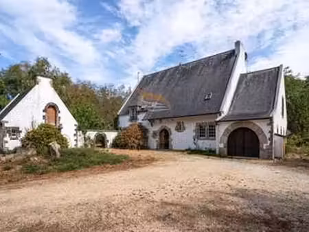 vente maison piscine à ploeren (56880) : à vendre piscine / 370m² ploeren
