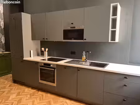 loue appartement - 44 49 m² - lyon 1er