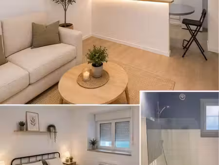 appartement t2 rdc avec local