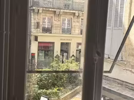 immobilier professionnel à louer avignon