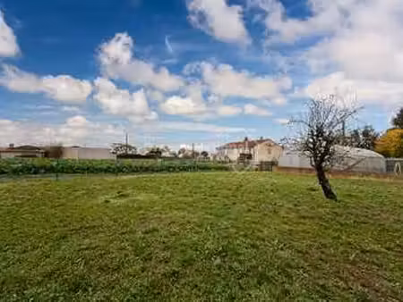 vente terrain à champtoceaux (49270) : à vendre / champtoceaux