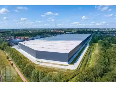 surface industrielle à louer à klamphovenweg 0 boom (rbw79089)