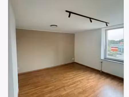 appartement 1 chambre rénové  lumineux  musson (45)