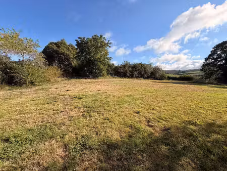 terrain constructible viabilisé à vendre