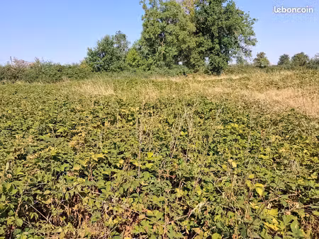 terrain agricole marcigny 71110