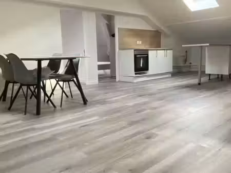f3 lumineux meublé - 80m² sous combles