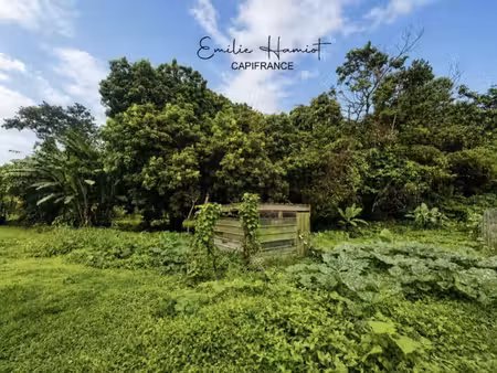 a vendre - terrain plat de 729 m² – ajoupa-bouillon – secteur adinet