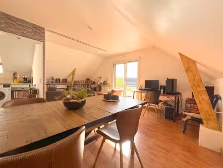 appartement thouare sur loire 2 pièce(s) 48.60 m2