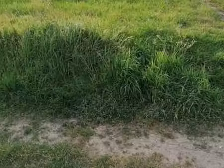 vente terrain à kervignac (56700) : à vendre / kervignac