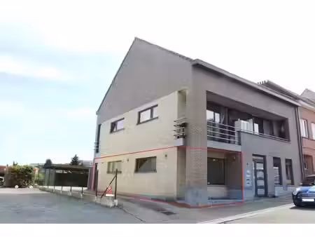 wsb-immo: option!!!
