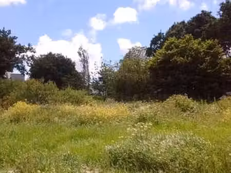 vente terrain à plougonvelin (29217) : à vendre / plougonvelin
