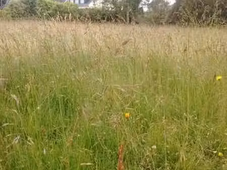 vente terrain à plouzané (29280) : à vendre / plouzané