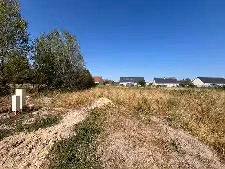 terrain