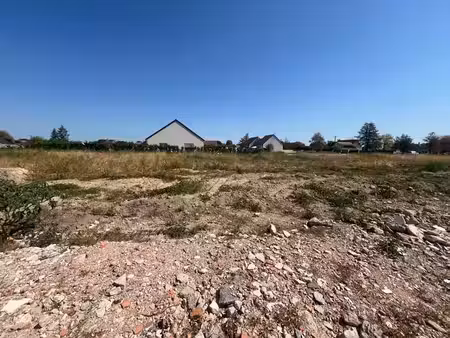 terrain