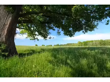 vente terrain 2500 m² à la fermeté (58160)  26 000 €