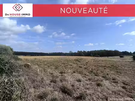 vente terrain 1050 m² à allaire (56350)  33 500 €