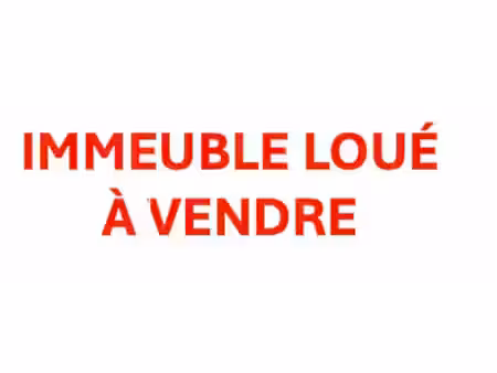vente local d’activités reims 51100 110m²
