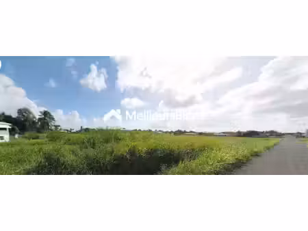 terrain de 1029 m² à sainte-anne  idéal pour projet immobilier