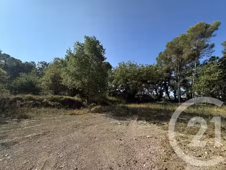 achat : terrain (06250)