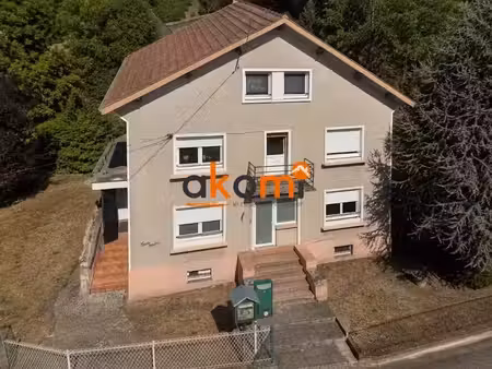 vente immeuble 230 m² à saulcy-sur-meurthe (88580)  189 000 €
