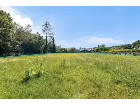 terrain à vendre à westelsebaan 26 averbode (rbw78786)