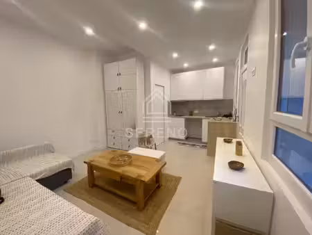 location appartement 1 pièce 20m² fontenay sous bois 94120
