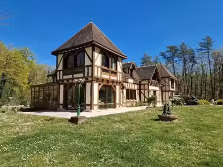 vente maison 10 pièces 225 m² à pruniers-en-sologne (41200)  589 500 €