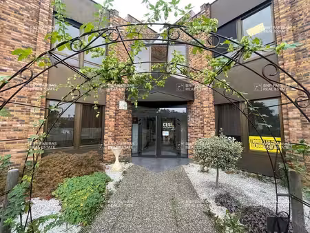 location bureaux lingolsheim 67380 84m² à 650m²