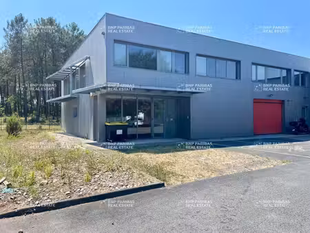 location local d’activités canéjan 33610 800m²