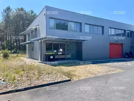 location local d’activités canéjan 33610 800m²