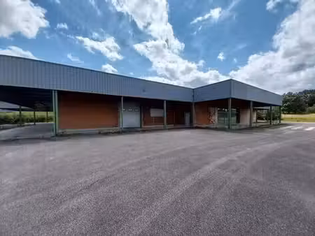 vente entrepôt remomeix 88100 2500m²