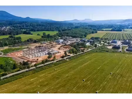 vente terrain remomeix 88100 150000m²
