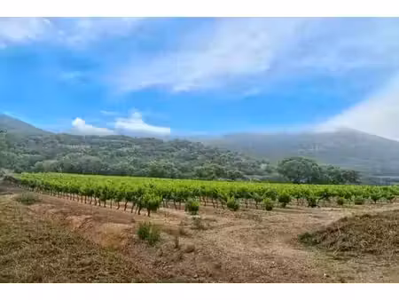 à seulement 15 minutes de saint-tropez  cette propriété rare d