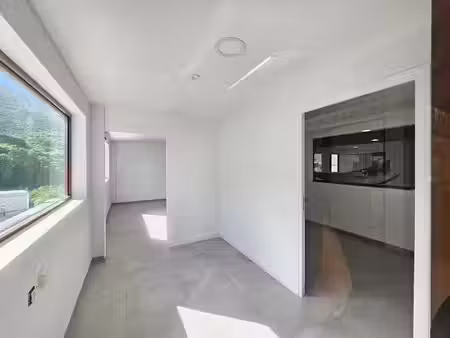 location locaux professionnels 2 pièces 40 m² à saint-martin (97150)  1 042 €