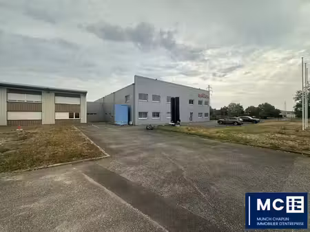 vente entrepôt duttlenheim 67120 1510m²