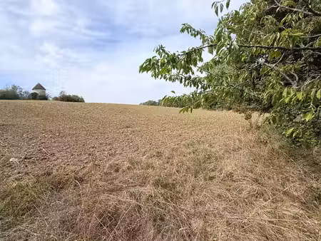 vente terrain 4000 m² laplume (47310)