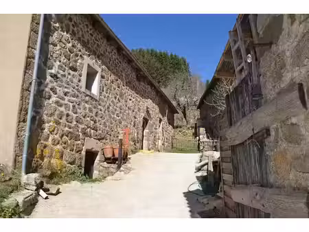 vente ferme 5 pièces 73 m² à saint-genest-lachamp (07160)  249 000 €