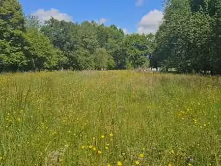 vente terrain à franquevielle (31210) : à vendre / 5181m² franquevielle