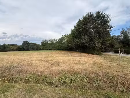 terrain à vendre à westerlo € 220.000 (lrfsz) - liva vastgoed | zimmo